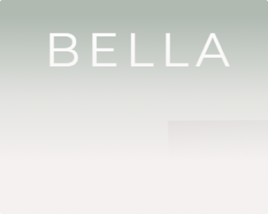zoom on bella design project interface website