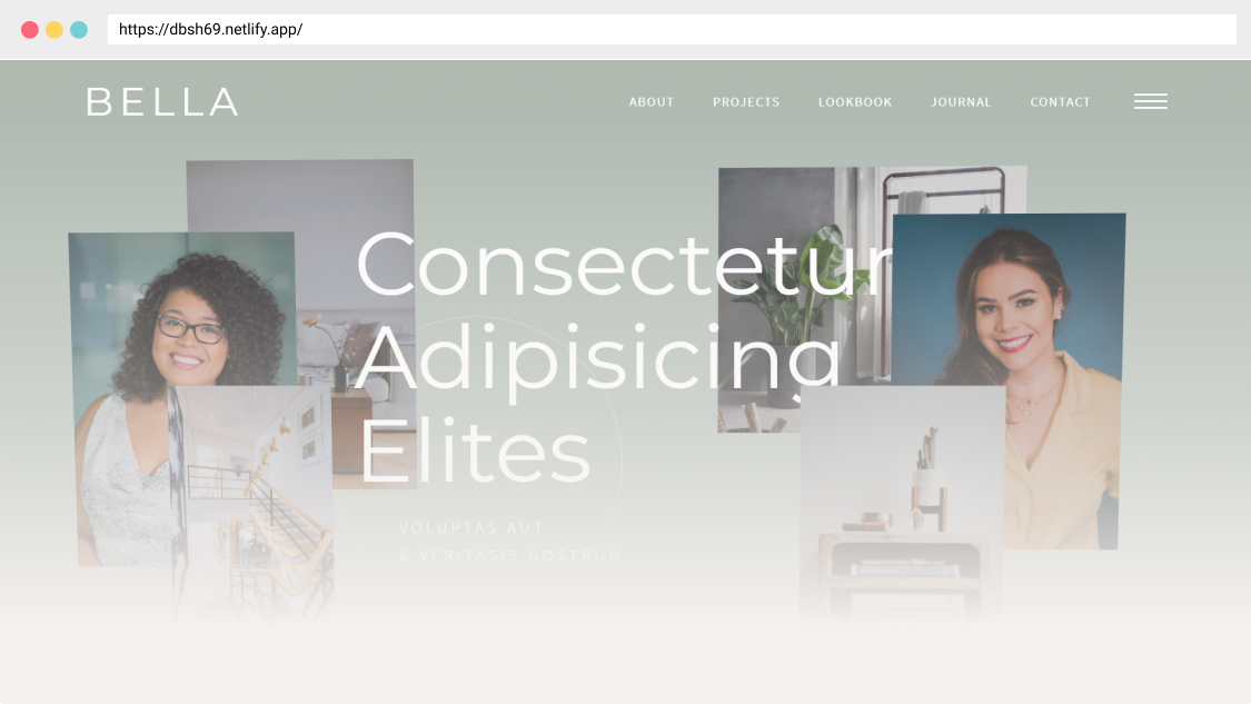 visual of home project's 2 interface